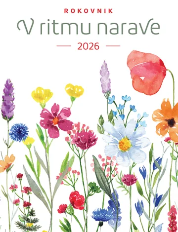 V ritmu časa, v svojem ritmu